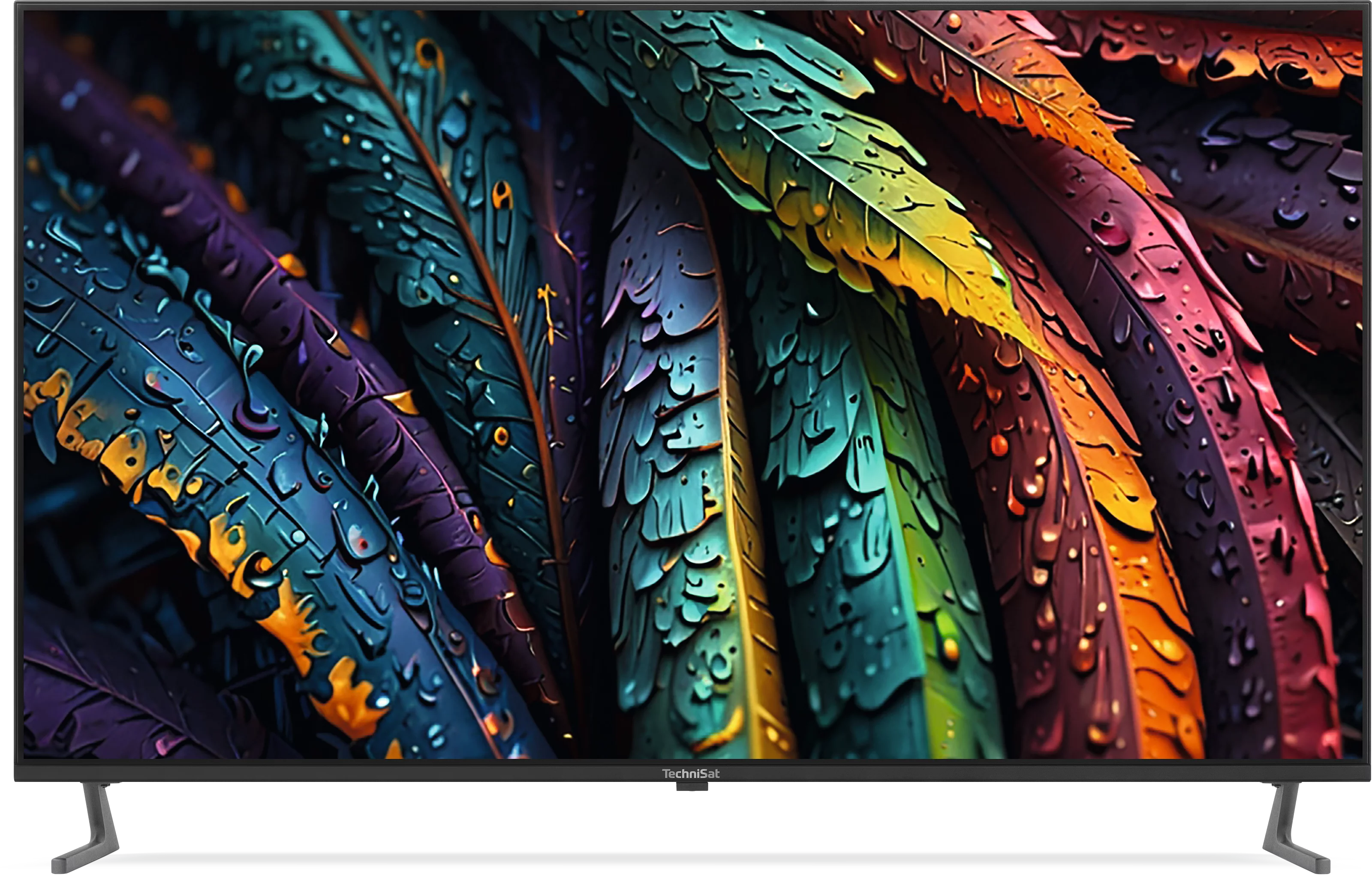 TV 55 UHD Szene, Frontal, Front
