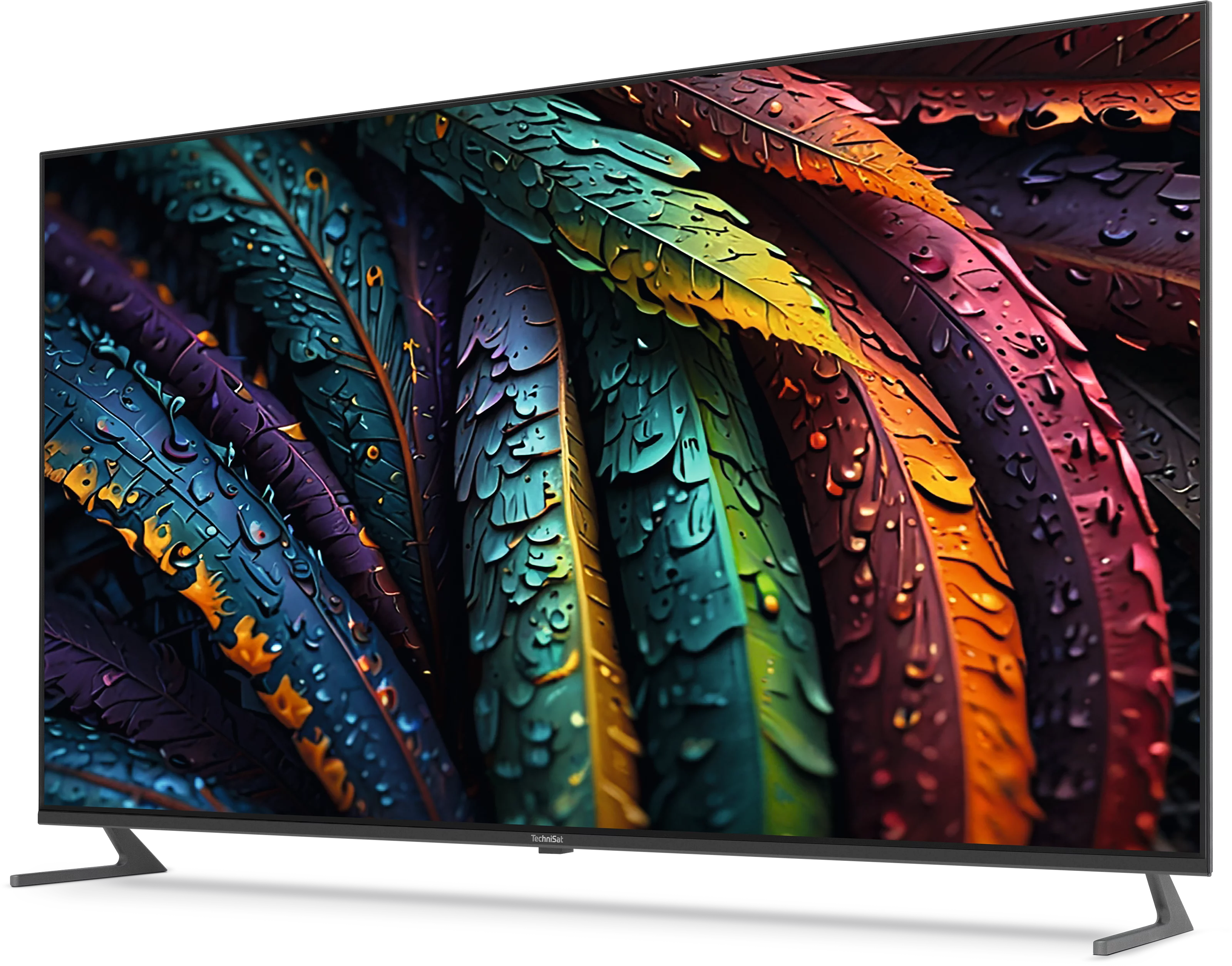 TV 65 UHD Szene, Schräg, Links