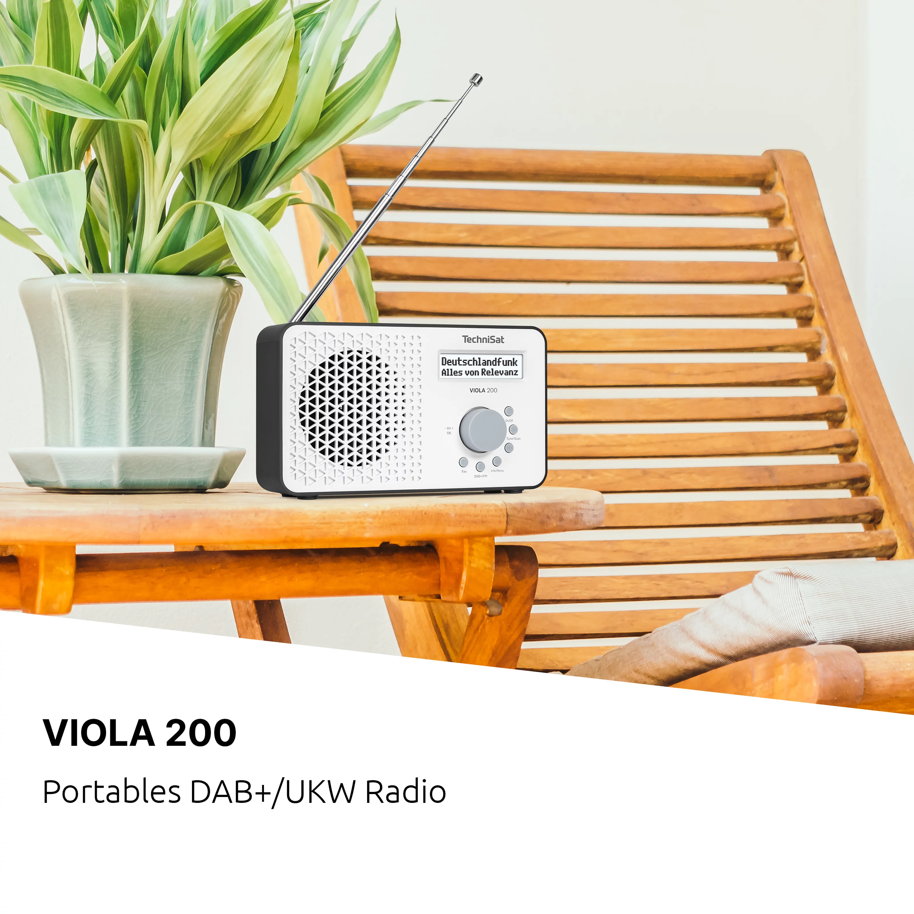 VIOLA 200