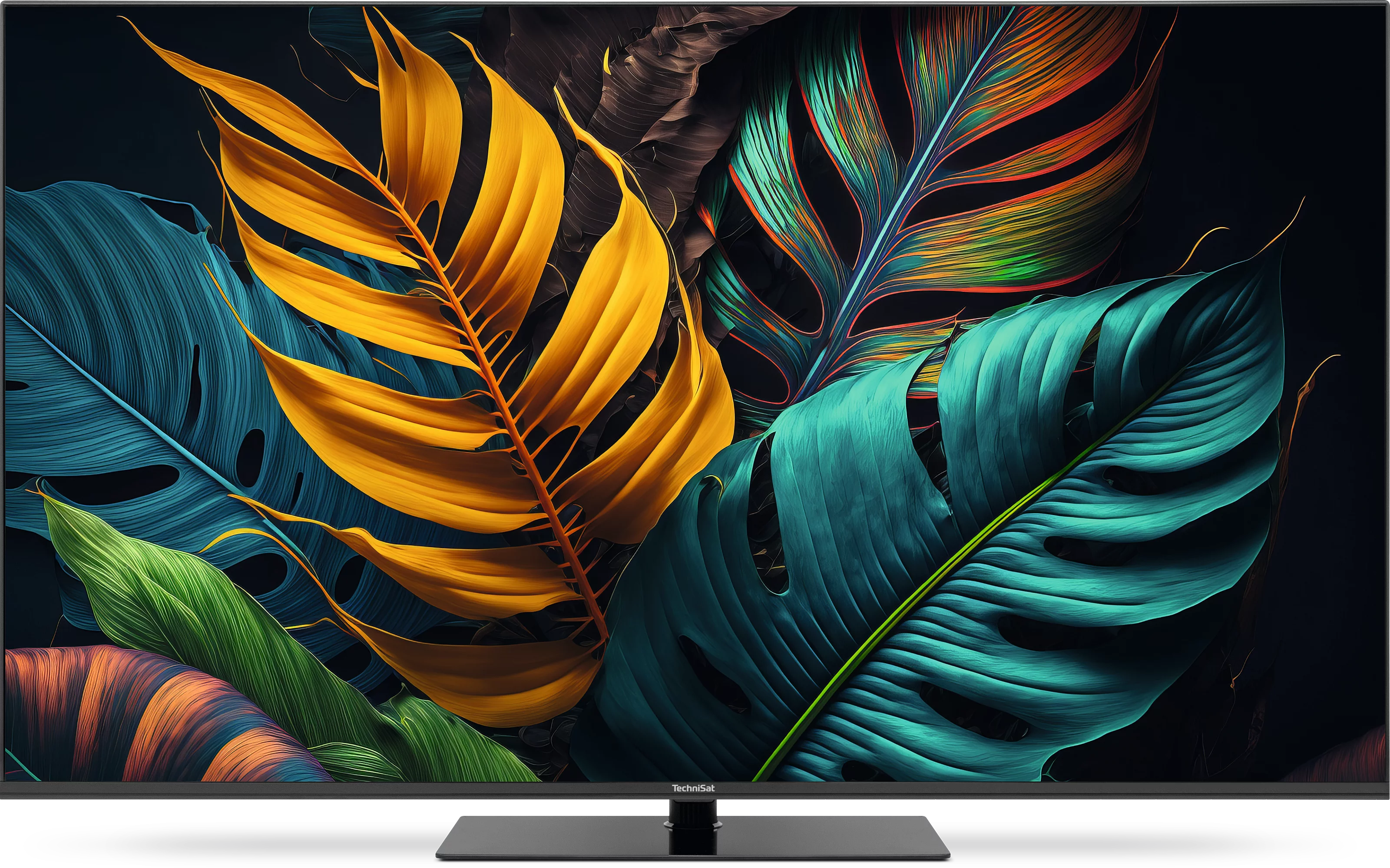 TECHNIVISION UHD55A Szene, Frontal, Front TECHNIVISION UHD55A Szene, Frontal, Front