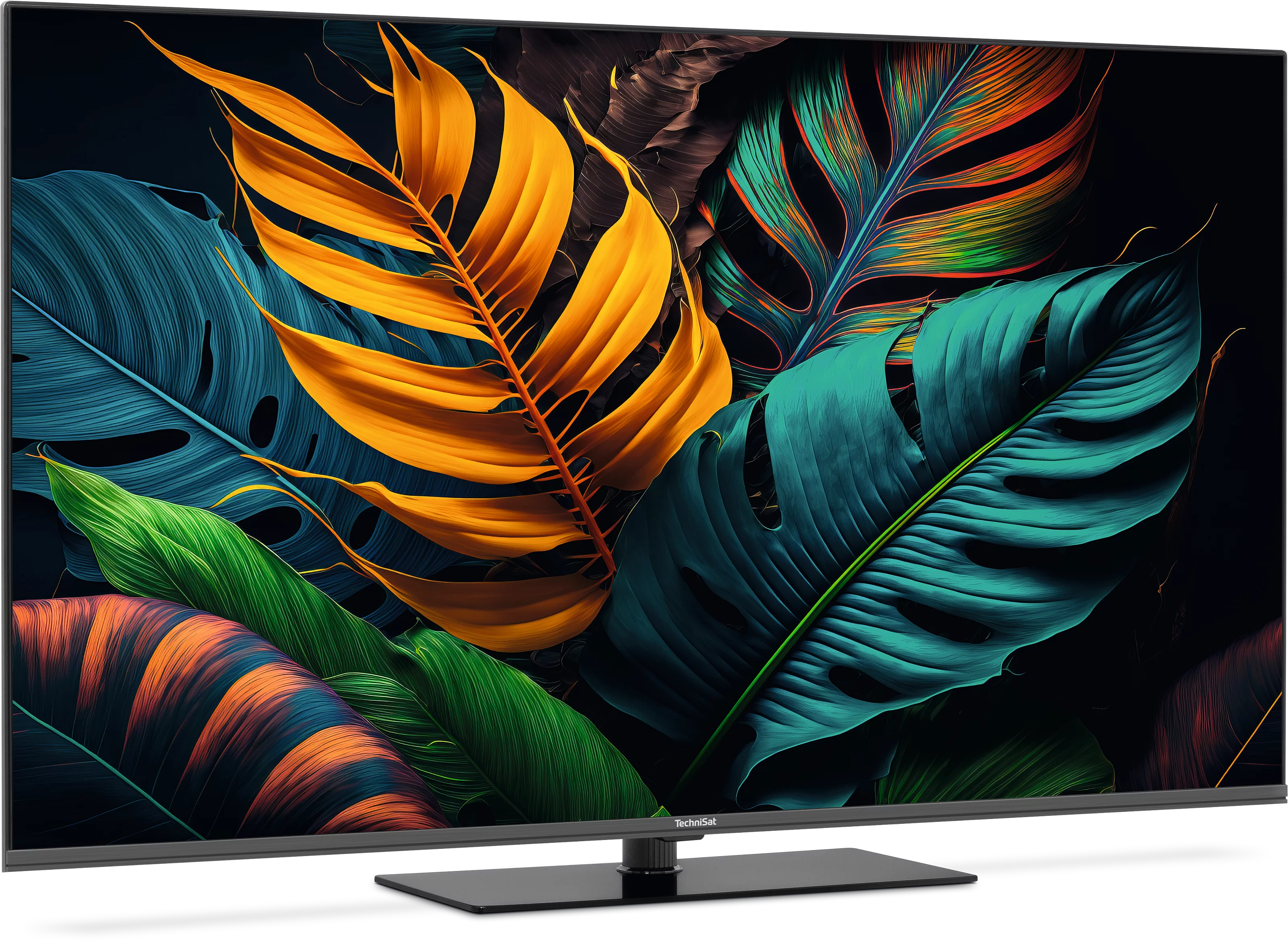 TECHNIVISION UHD50A Szene, Schräg, Rechts