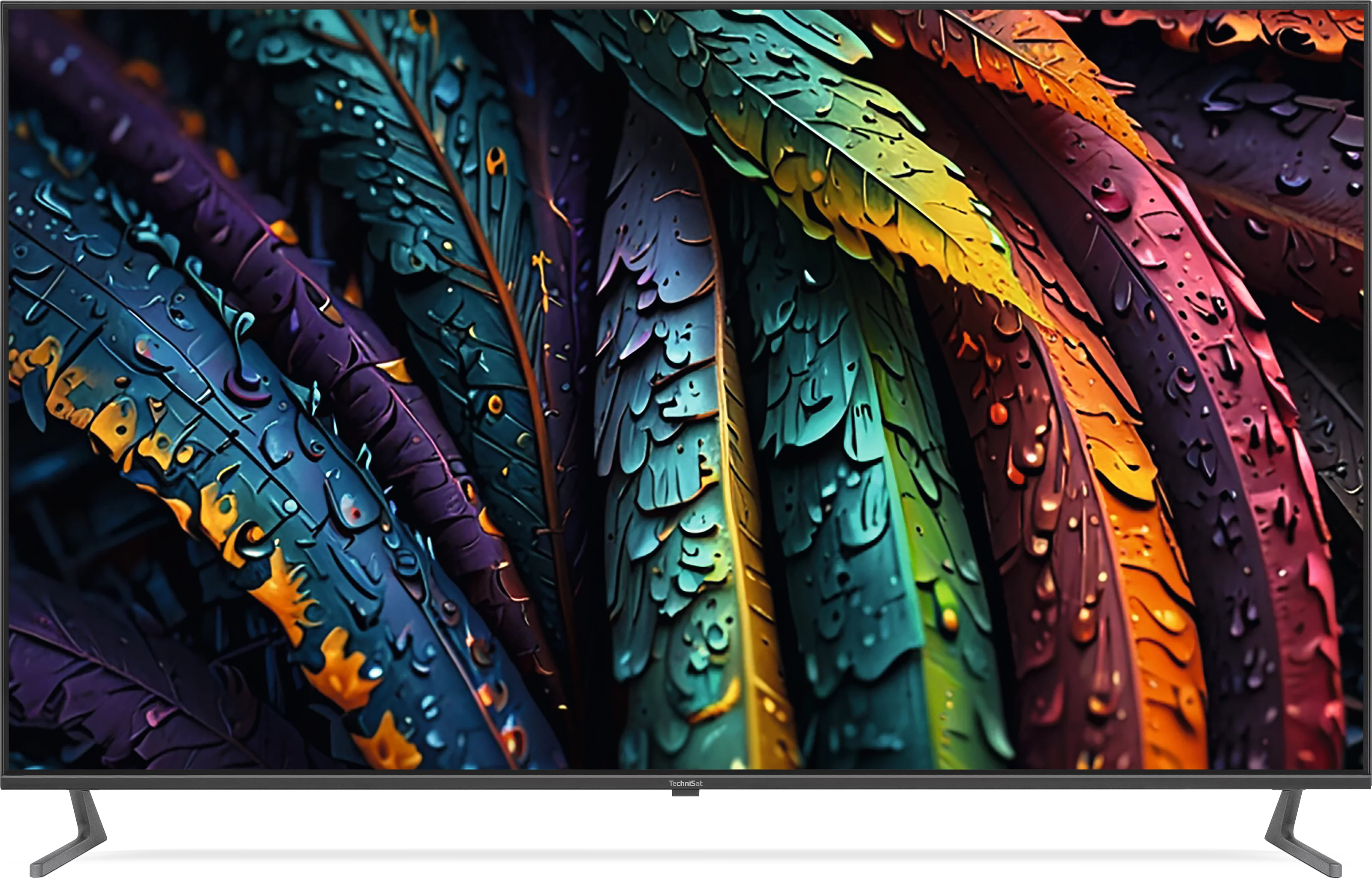 TV 65 UHD Szene, Frontal, Front