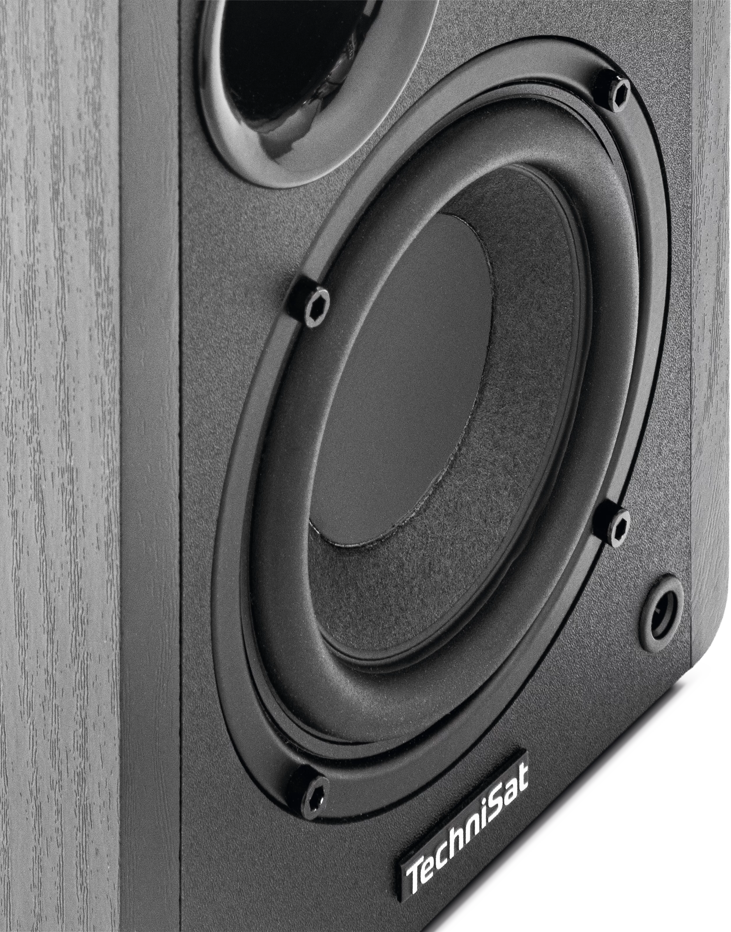 AUDIOMASTER RLS 1 Detail