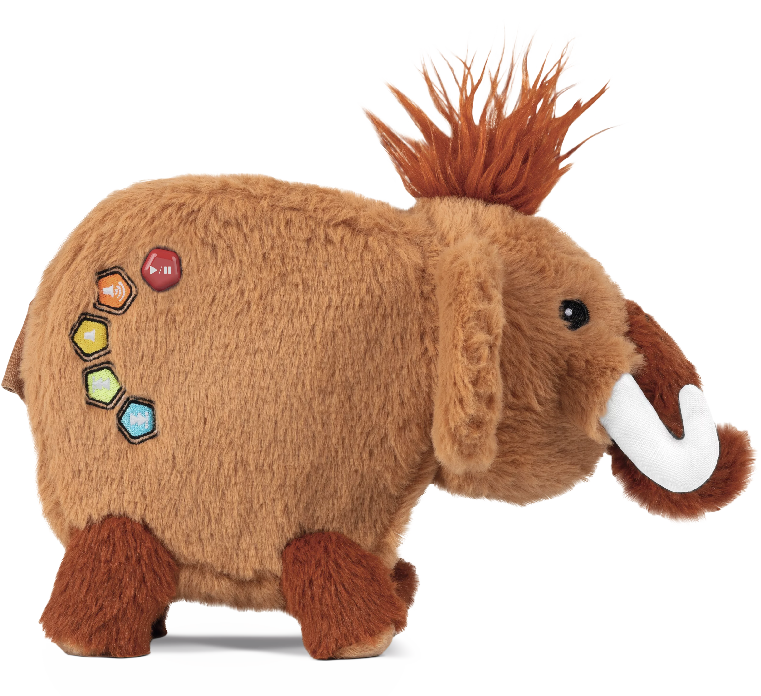 Matti MAMMUFANT Frontal, Front