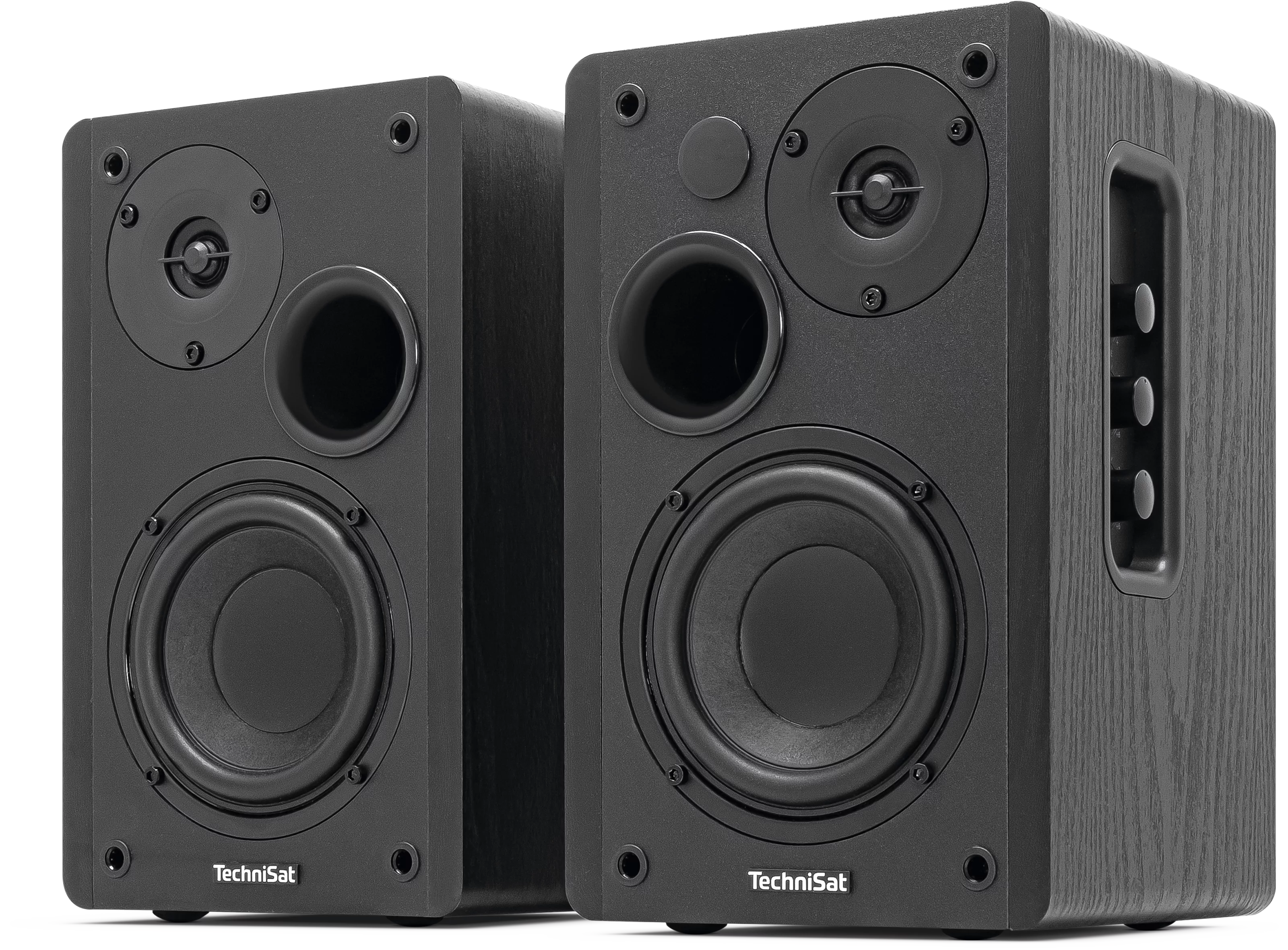 AUDIOMASTER RLS 1 Schräg, Links