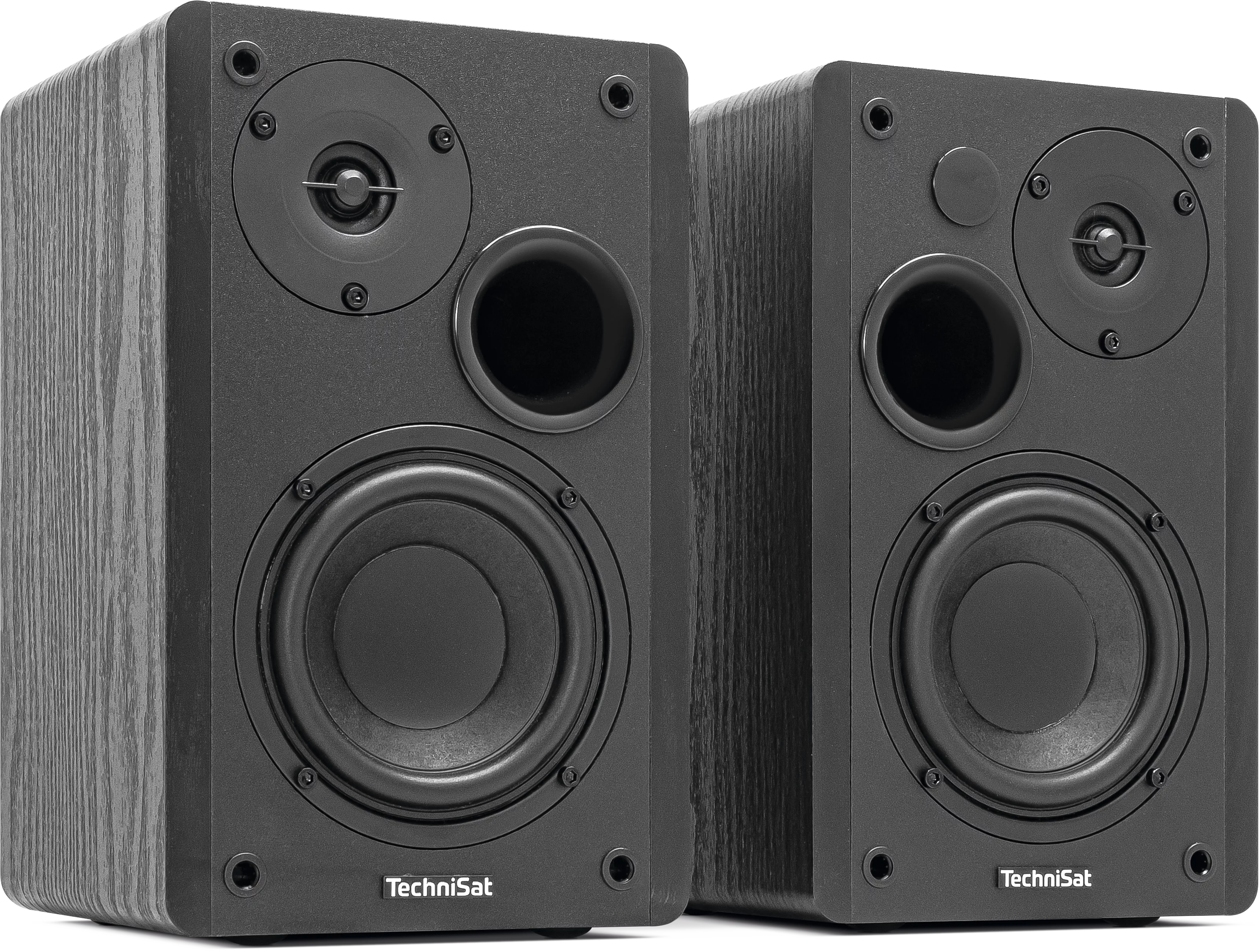 AUDIOMASTER RLS 1 Schräg, Rechts
