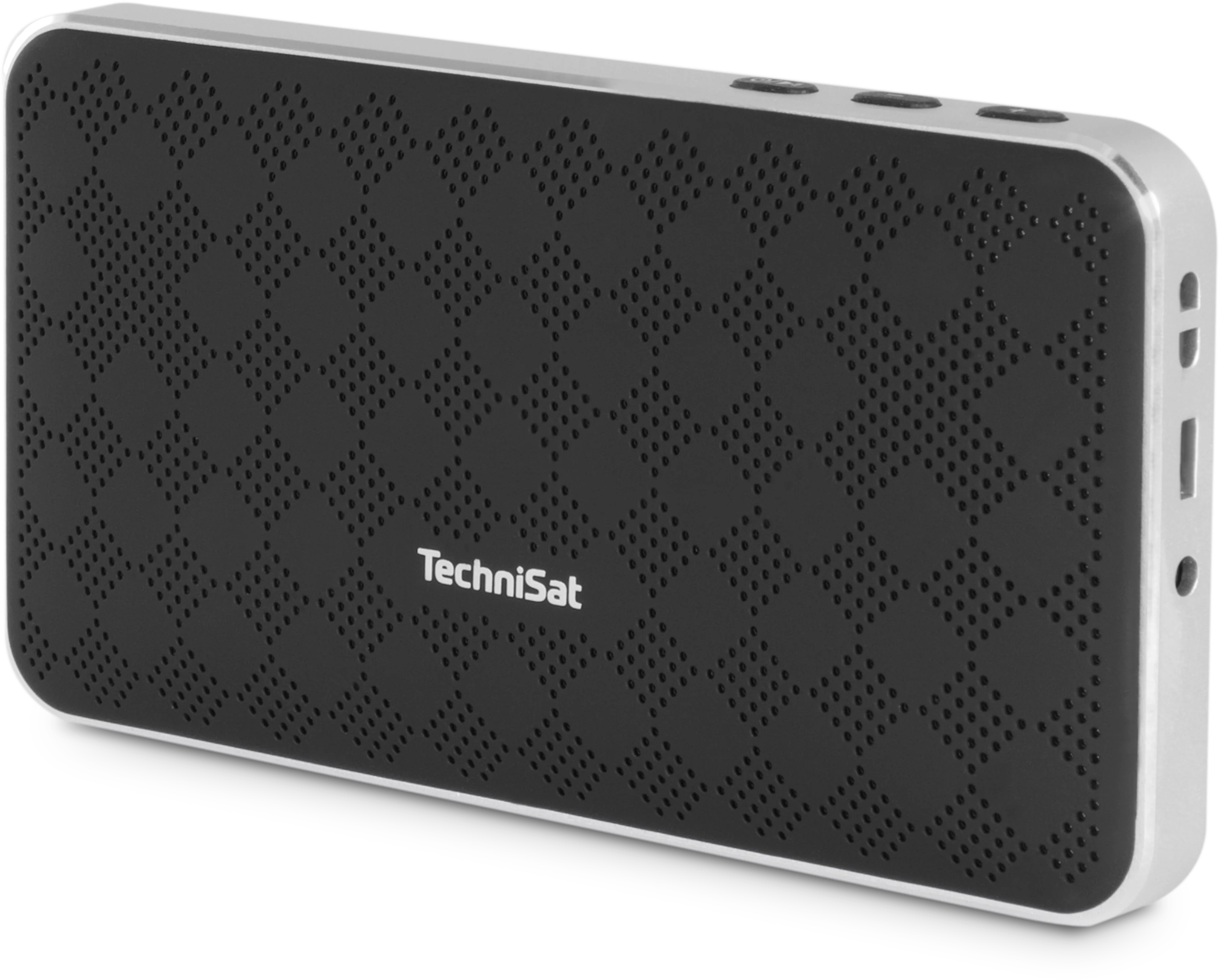 BLUSPEAKER FL 200 Schräg, Links